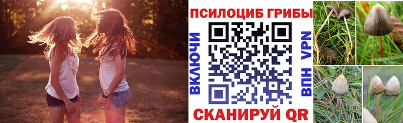 Псилоцибиновые грибы мухоморы  наркотики  Будённовск 