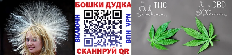 где можно купить наркотик  Будённовск  Шишки марихуана гибрид 